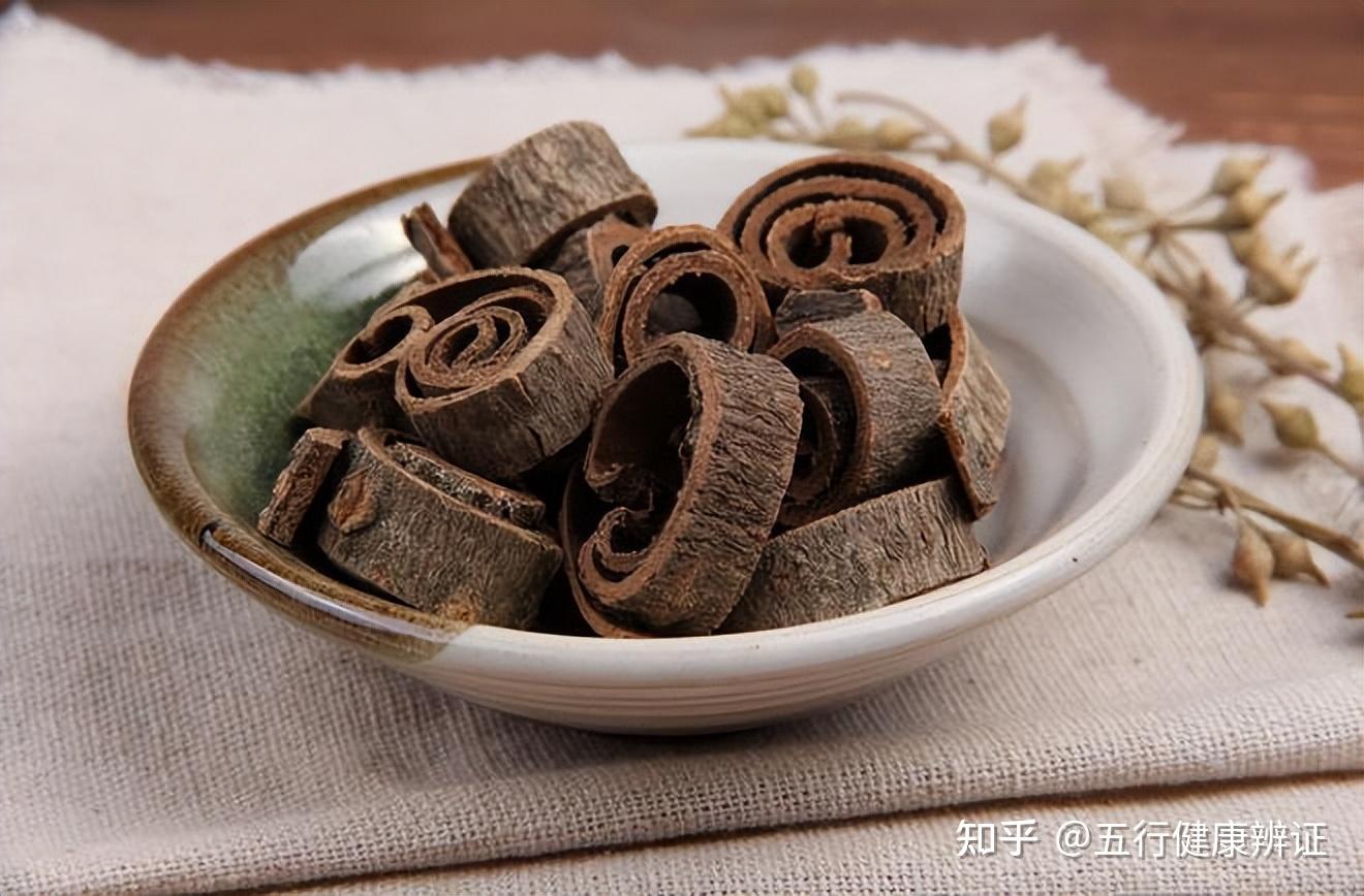 体内湿气是咋来的?中医理饮汤——化解水湿痰饮之邪的良方 - 知乎