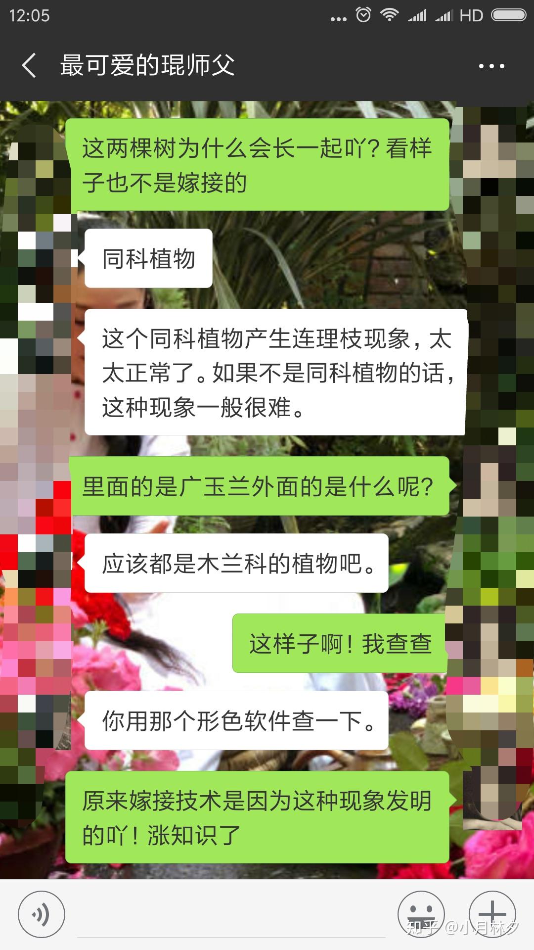 为什么这两颗不同的树会长到一块去? - 知乎