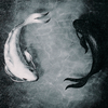 user-profile-image