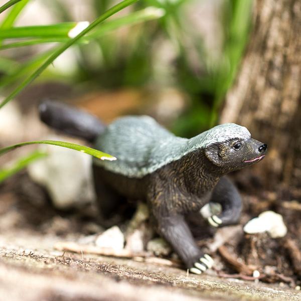 为什么动物进化不出皮甲？