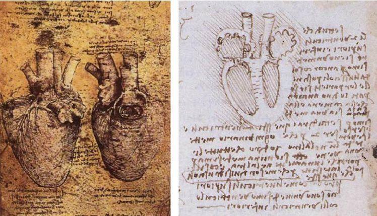 传说中达芬奇的成就是真的么