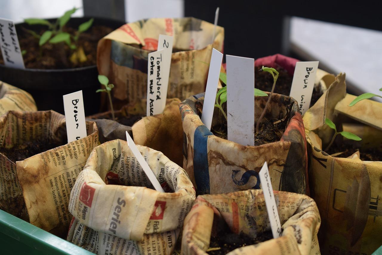 3. 根茎类无土种植