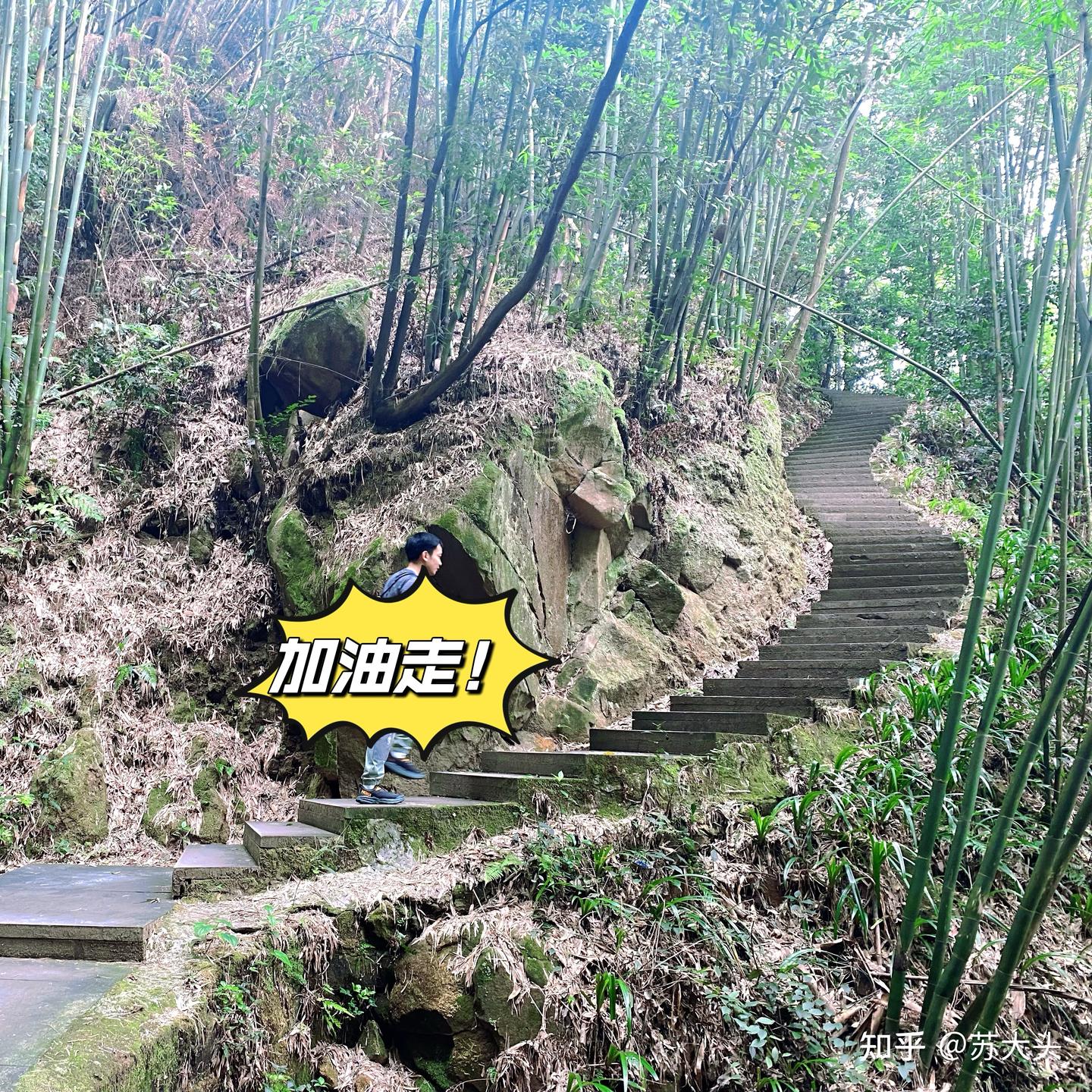 重庆徒步爬山圣地：缙云山免门票上山详细路线指引 - 知乎