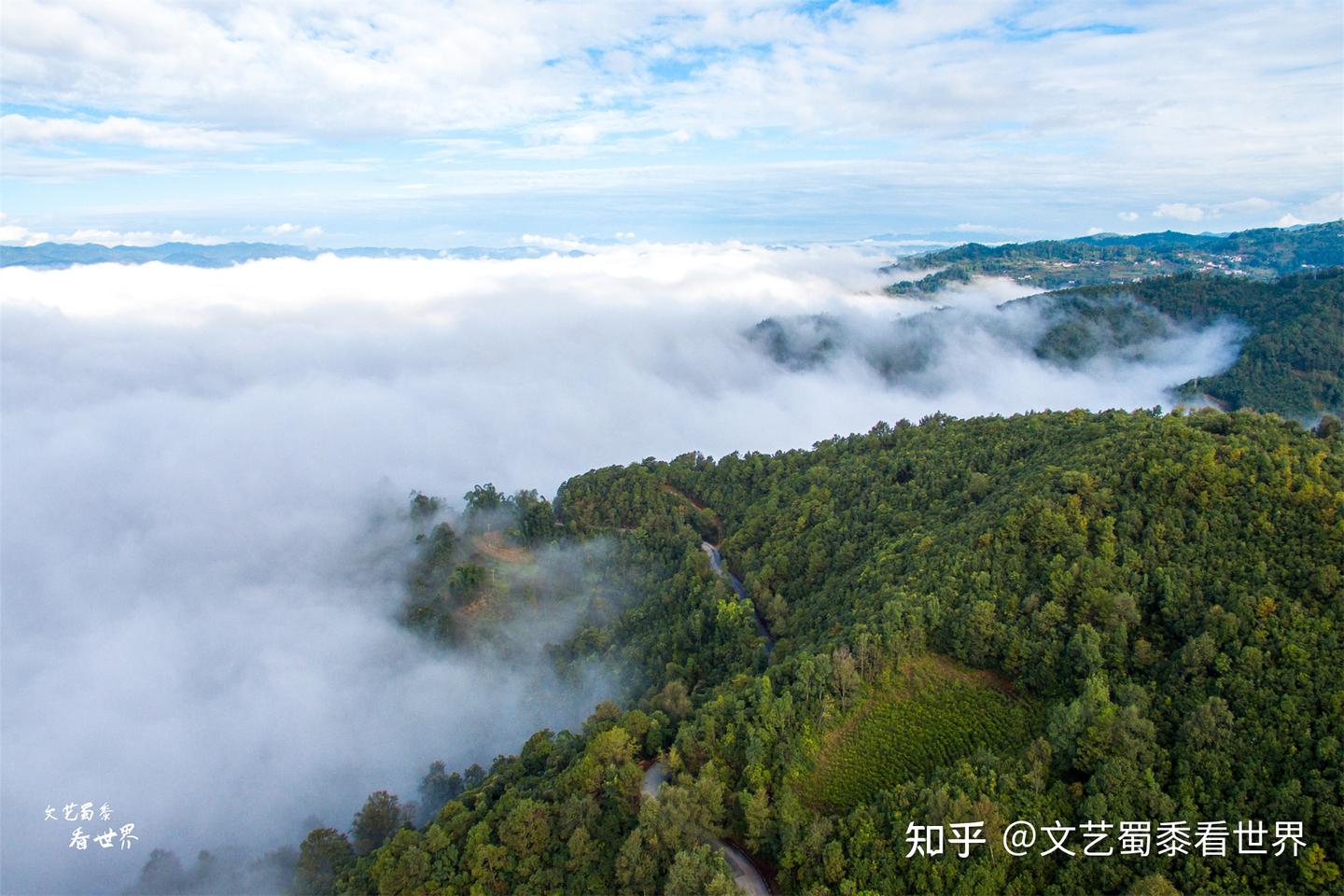 “过冬养老”去哪好?三亚不再是首选,这7座城市被北方候鸟追捧 - 知乎