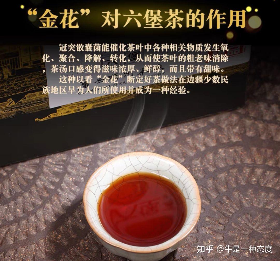 六堡茶有哪幾個品牌