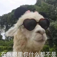 Zhihu profile picture for @secular