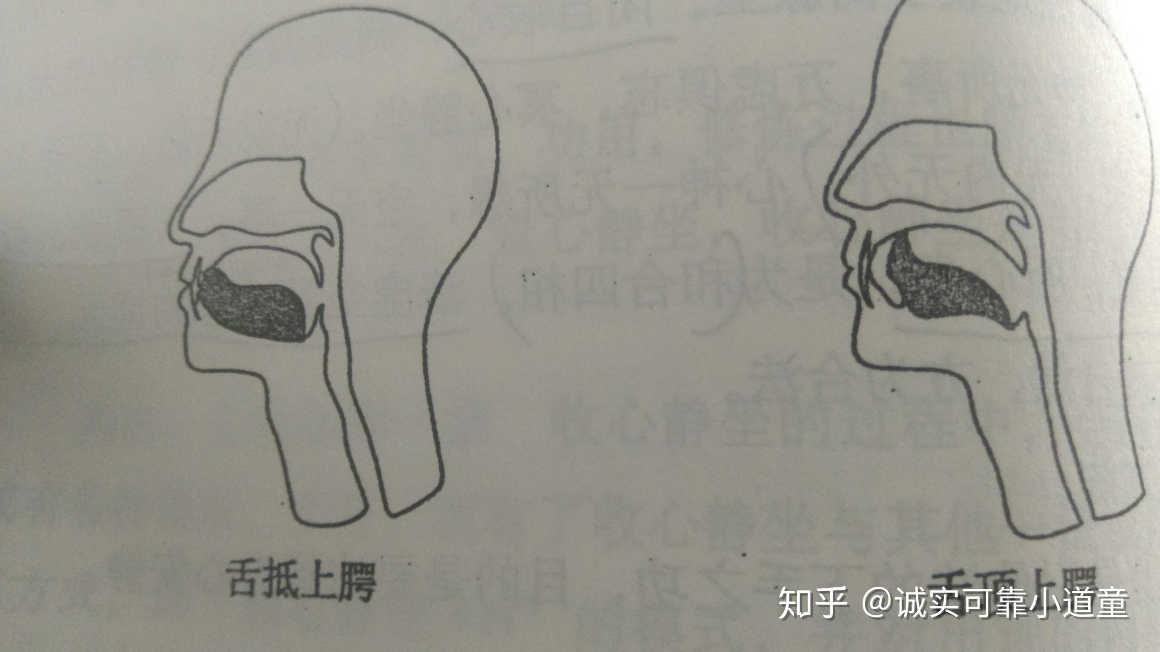 張至順道長所說的修煉舌不抵上顎才是真的修煉方法麼