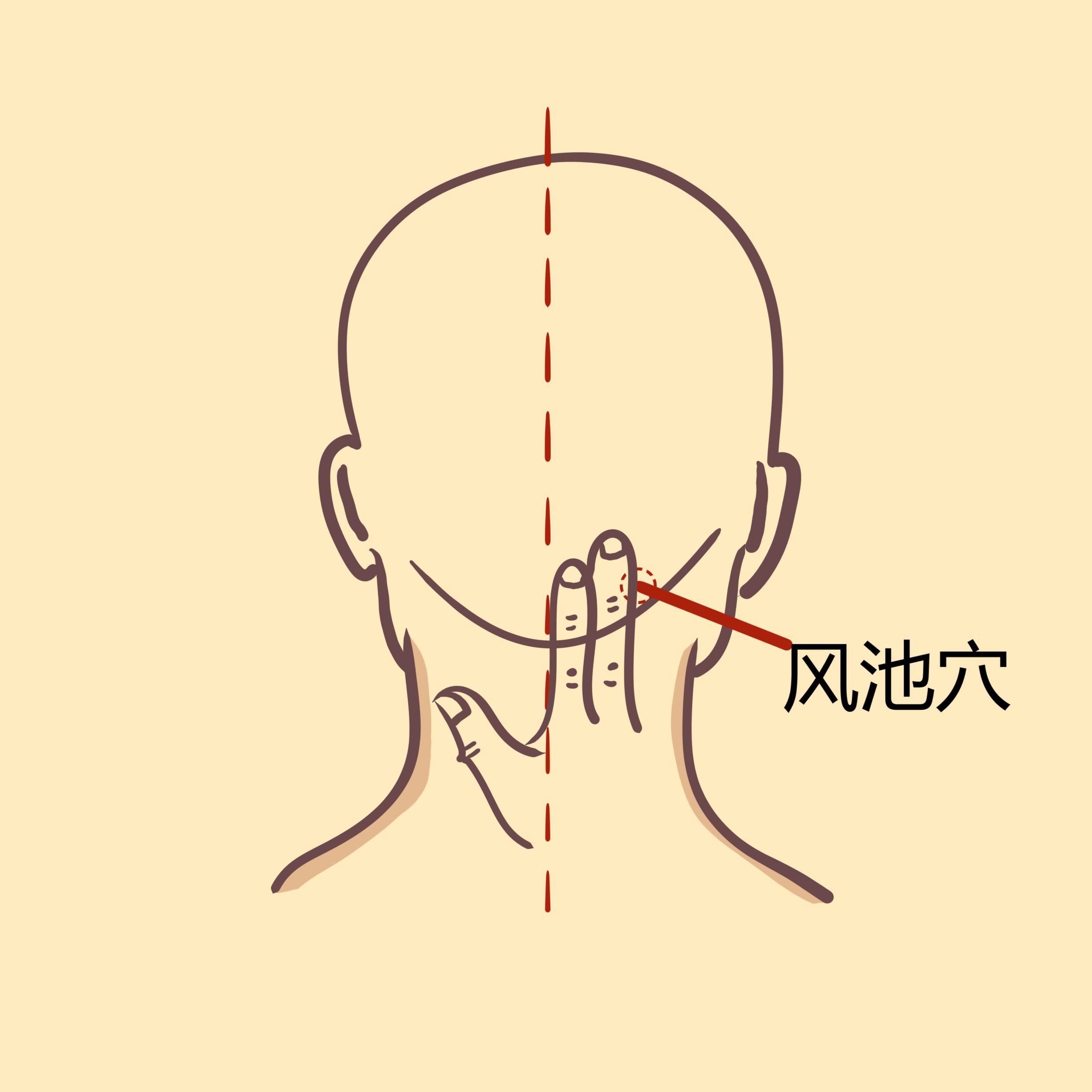 风池和高骨准确位置图图片
