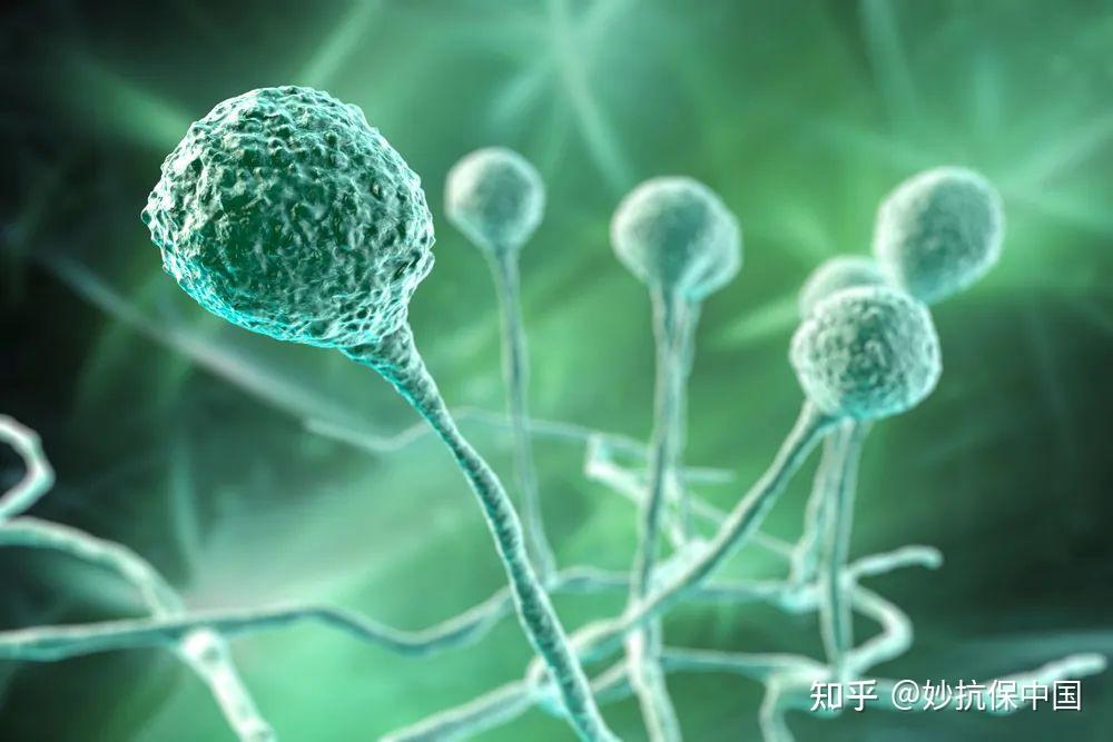 锌离子抗菌材料对人体有影响么? - 知乎