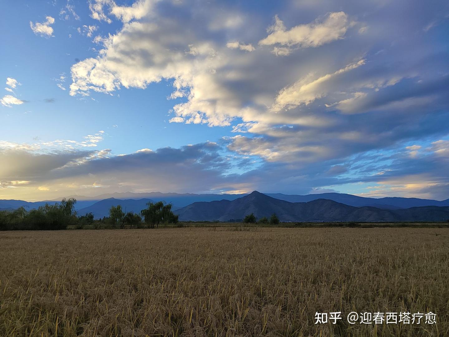 见与不见 - 知乎