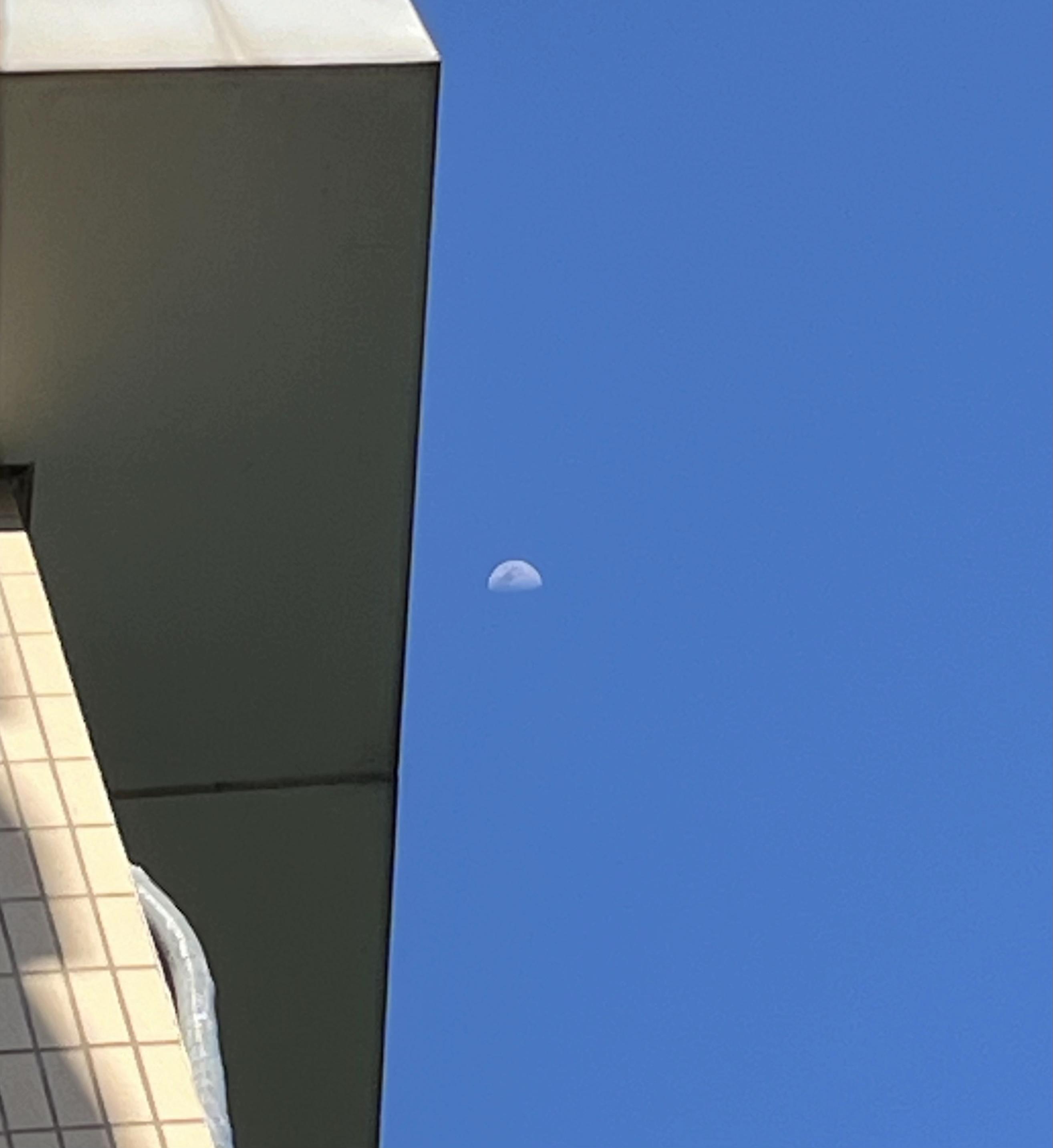 为什么白天月亮是灰白色的,夜晚却是黄色?