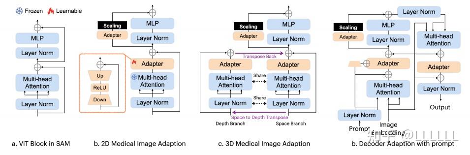 SAMed:Customized Segment Anything Model for Medical Image Segmentation - 知乎