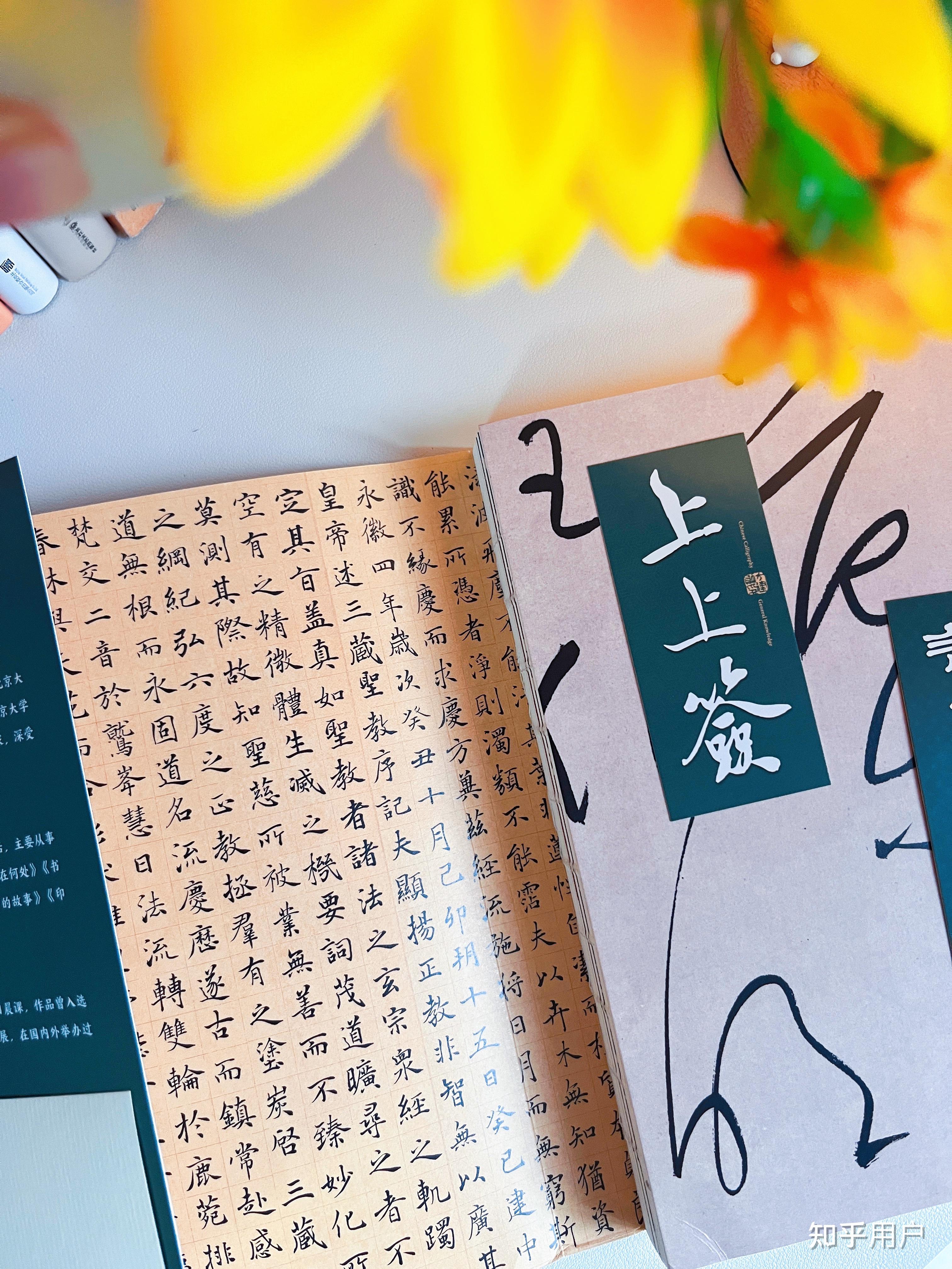 新手从哪里开始书法的练习？ - 知乎