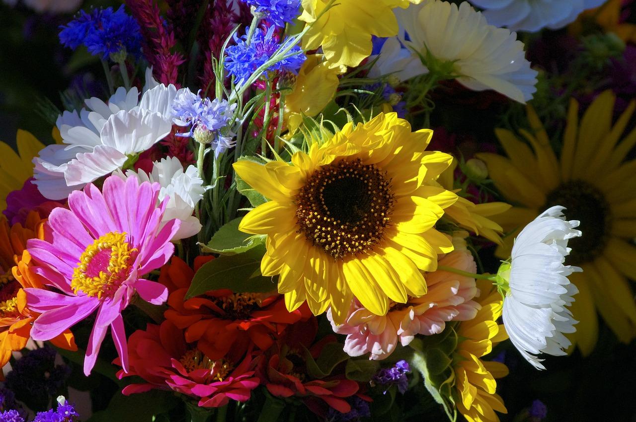 2. 线上投诉平台