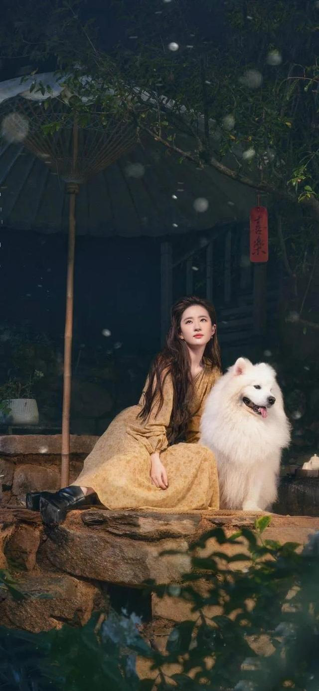 梦华录02的收视率是刘亦菲不抗剧吗