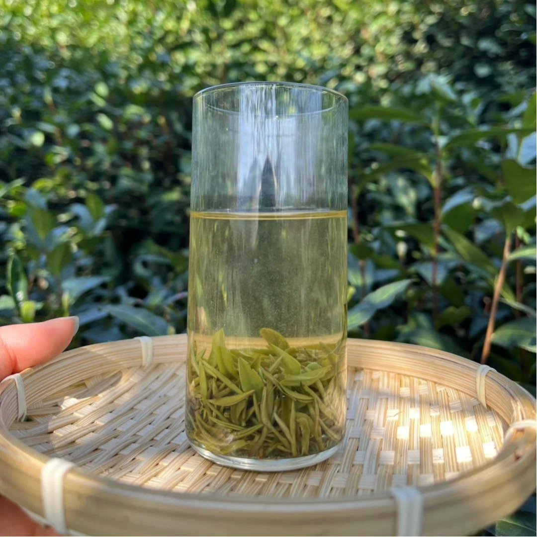 “中国十大名茶