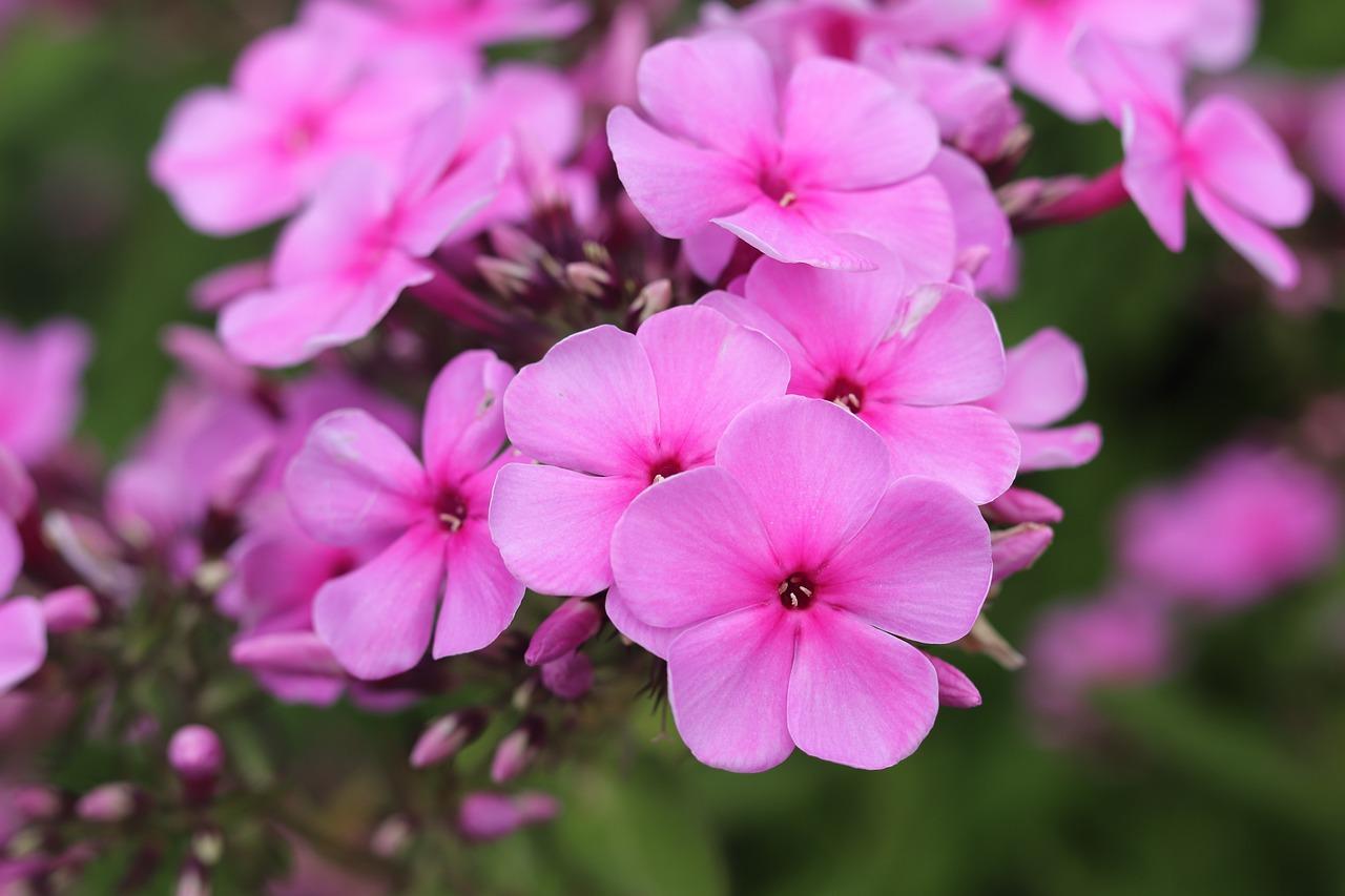 2. 色彩混合技巧