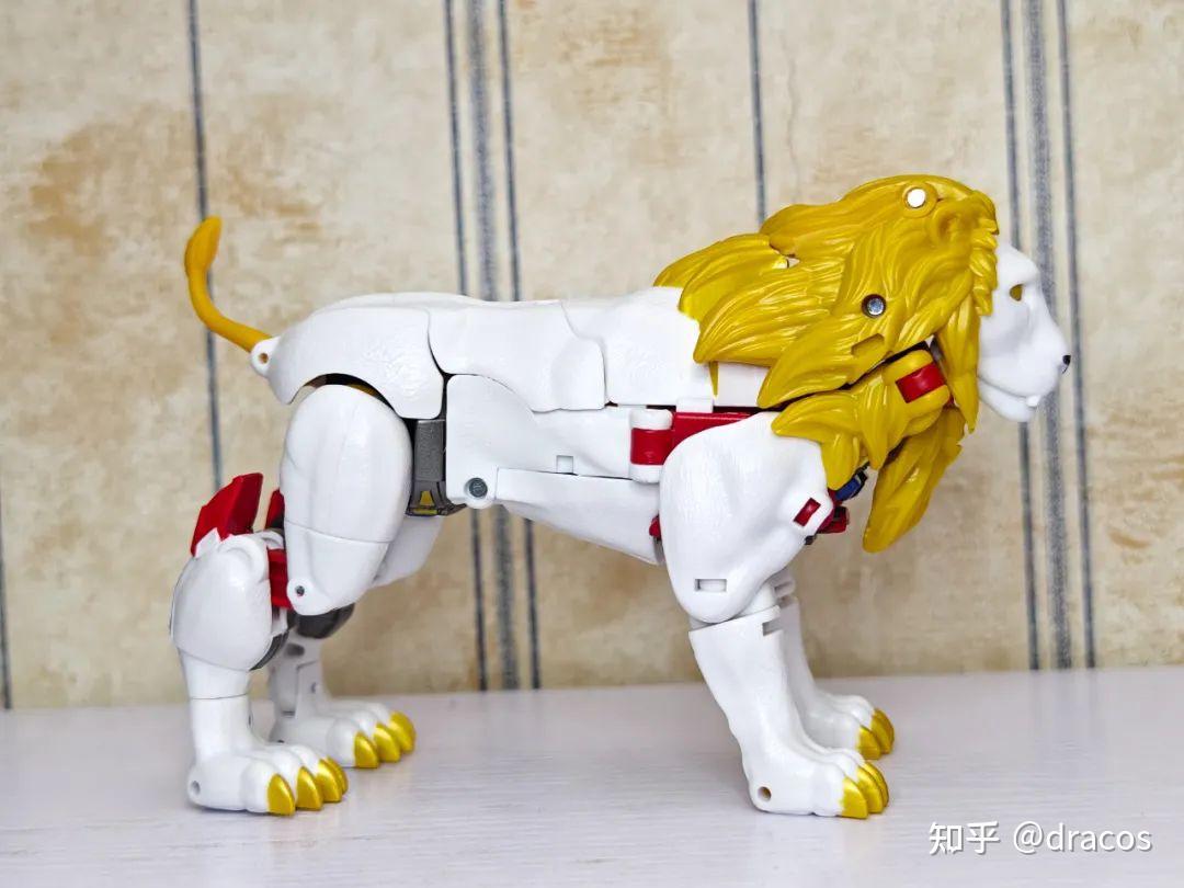 呆萌狮王——进化V级白狮开箱测评- 知乎