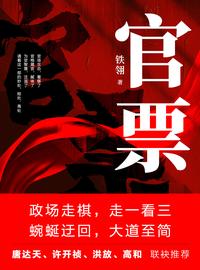官票：一个落选县长的绝地反击