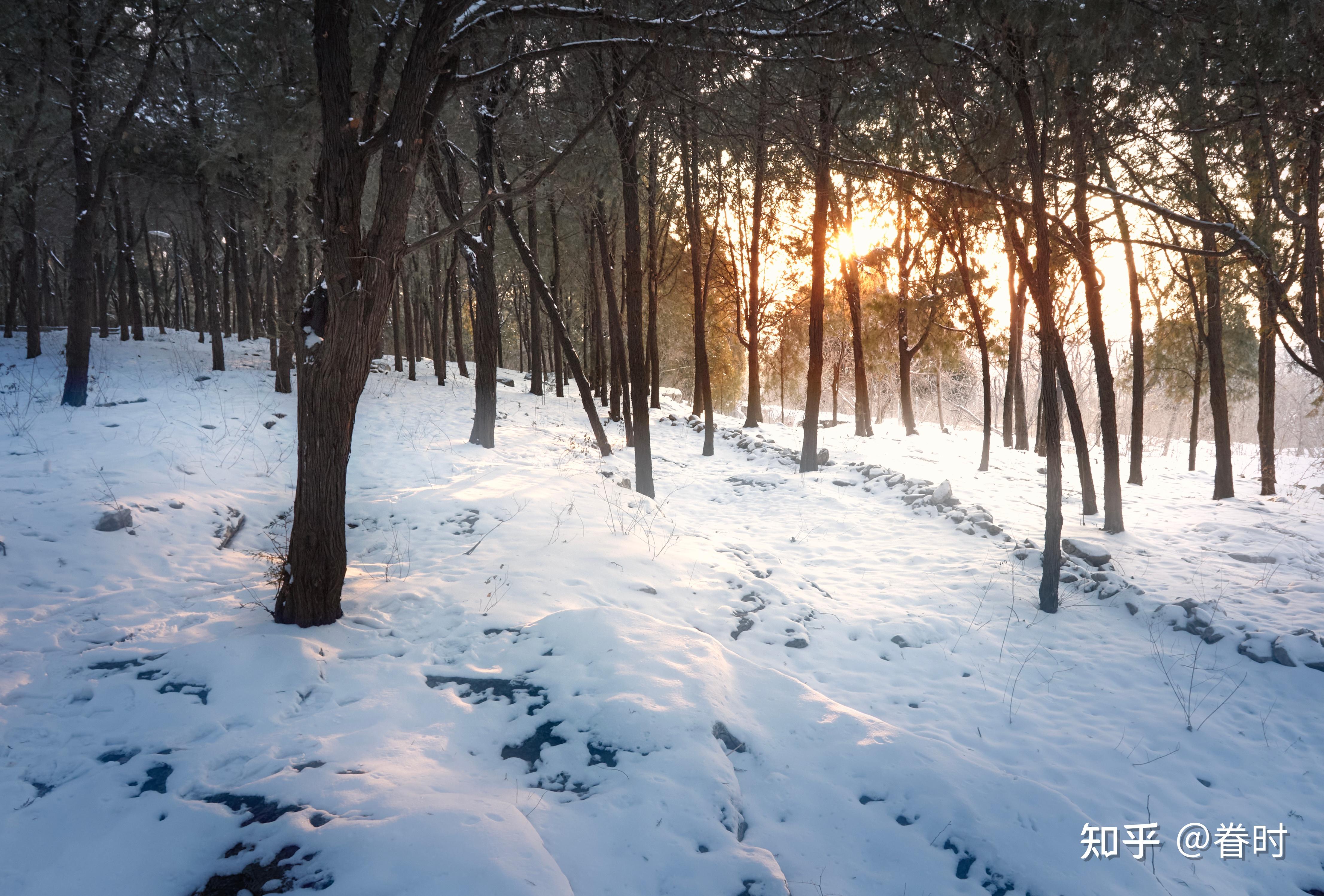 相机1600万像素拍出来的照片是什么样的?