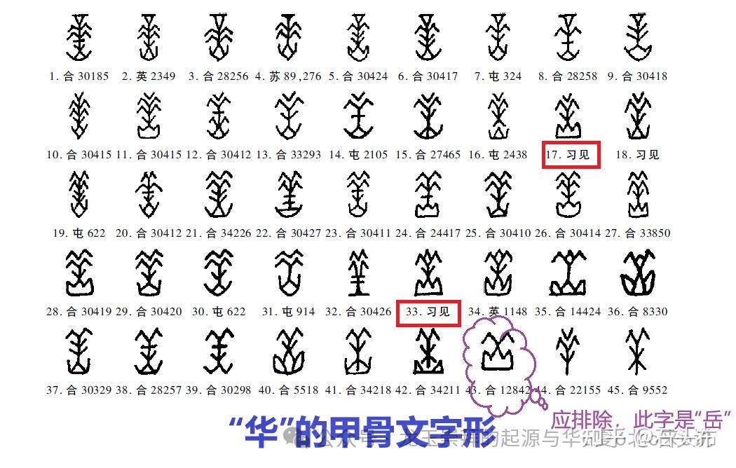 华夏文明有夏族，那么华指的是什么？是不是有一个华族？ - 知乎