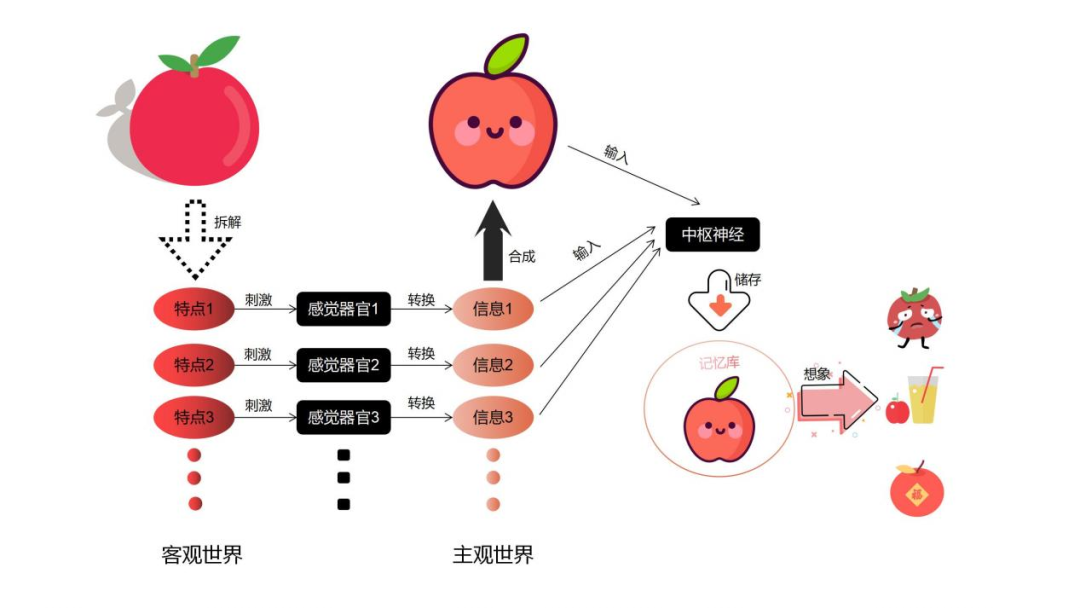 心理学理论知识第5期:认知过程 - 知乎