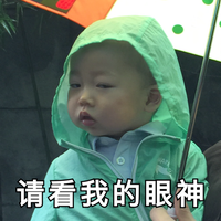 表情包:猫咪扔裤衩子表情包 - 知乎