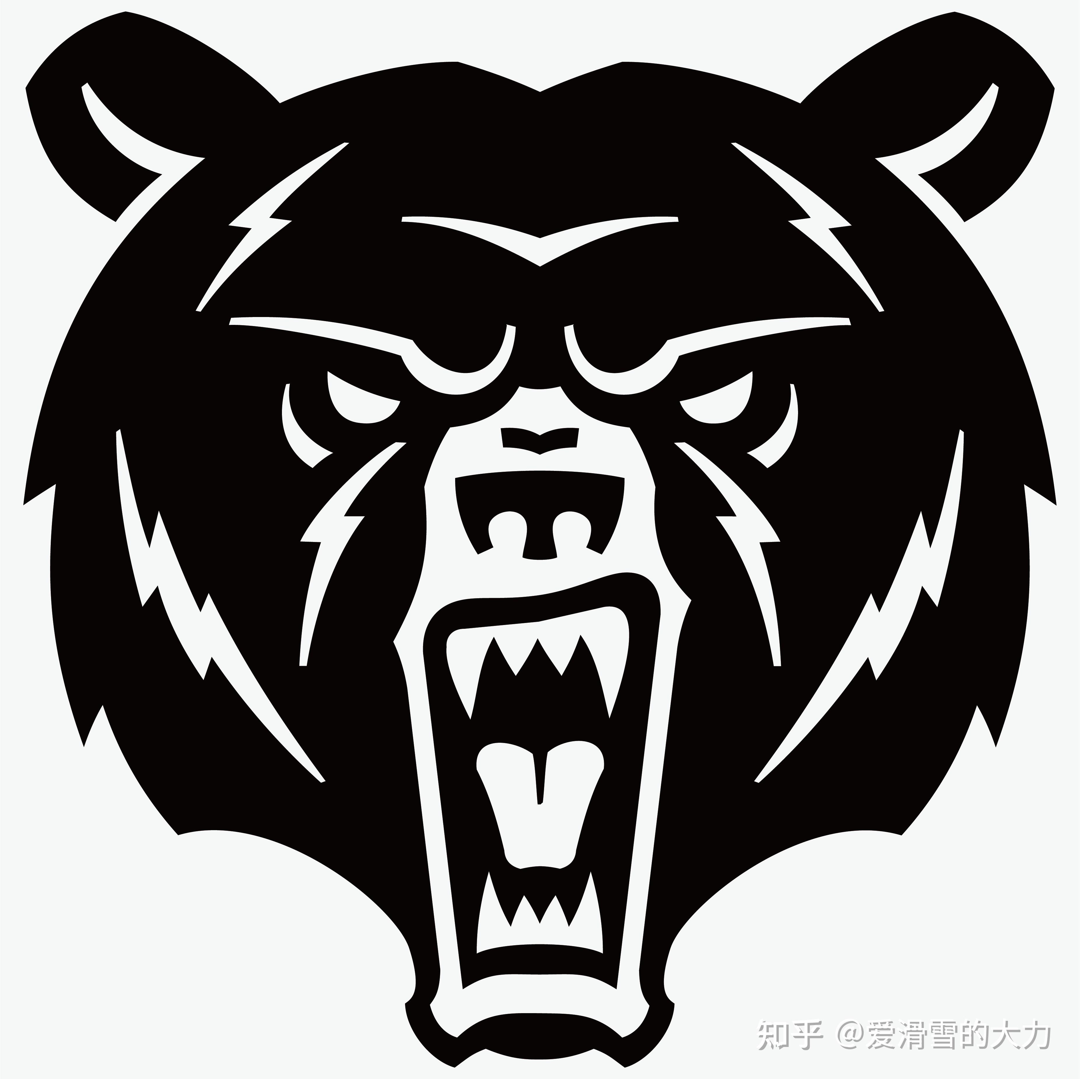 terror滑雪板怎么样? - 知乎