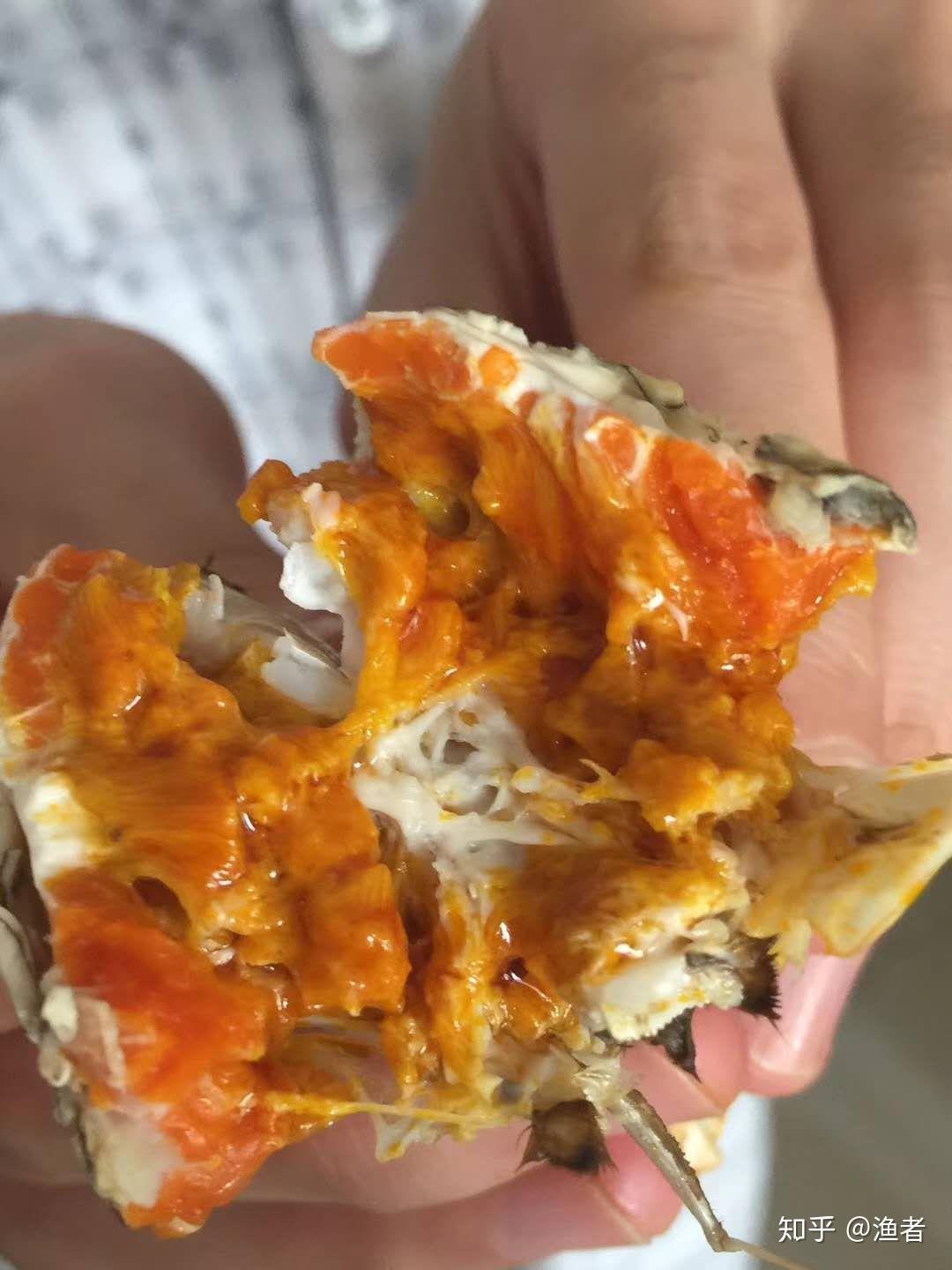 母螃蟹内脏黄上有一种红色的内脏,大家鉴别一下是什么东西?