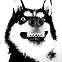 Zhihu profile picture for @kurniawan