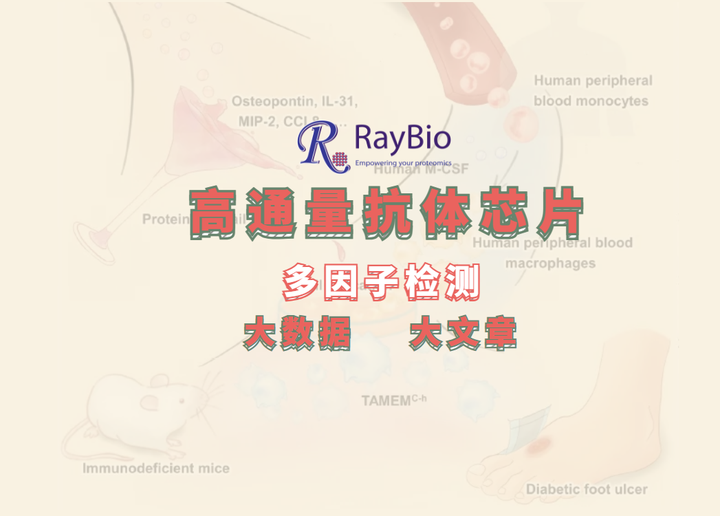 Raybio EMBO Molecular Medicine(IF:14.260)|RayBio抗体芯片助力糖尿病患者伤口修复研究 - 知乎