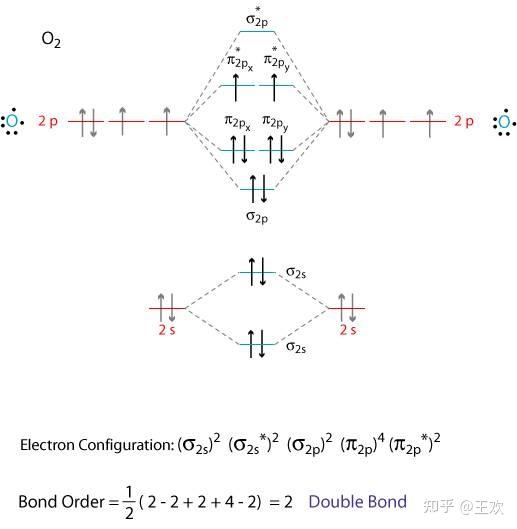 氧气的分子轨道结构图,有没有大佬能看懂啊? - 知乎