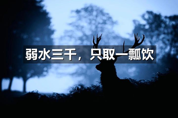 弱水三千只取一瓢饮