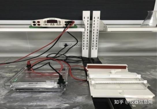 yy.vip易游-2019-2023年中國PCR擴增儀市場前景及投資發展戰略研究報告