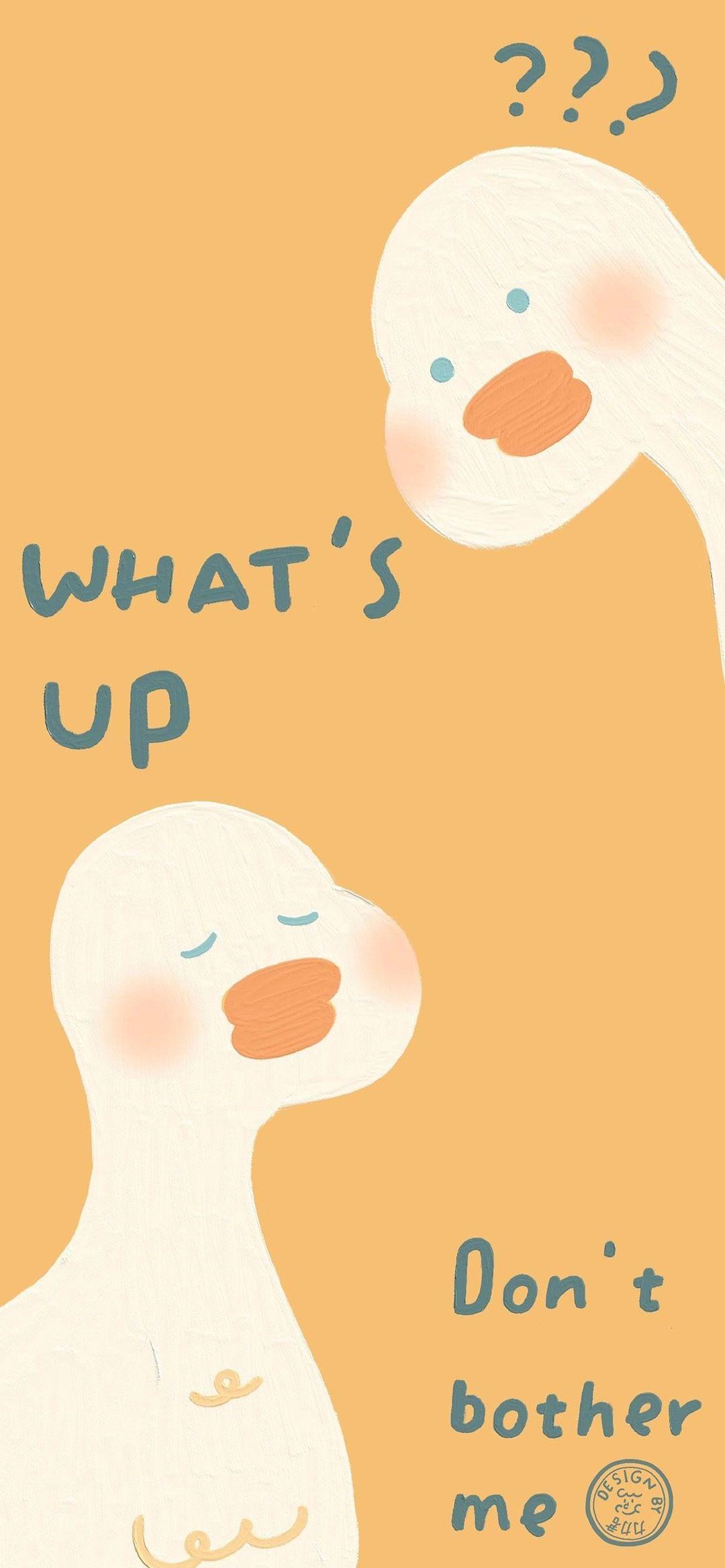 可以推荐一些线条熊的壁纸吗