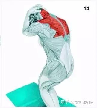【运动图解】34种史上最全的拉伸运动集合 - 知乎