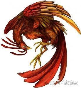 中国神鸟——浑身冒火的朱雀 - 知乎