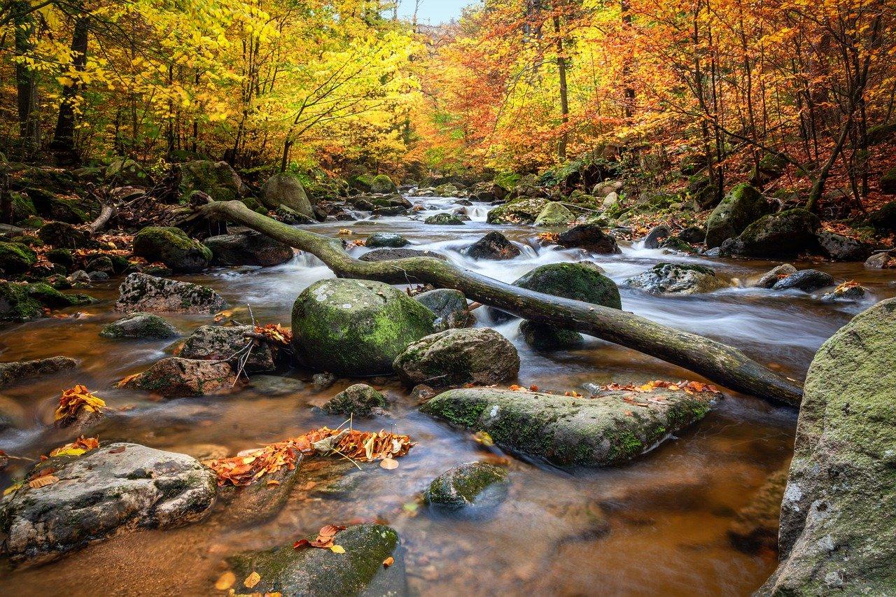 3. 房价走势分析