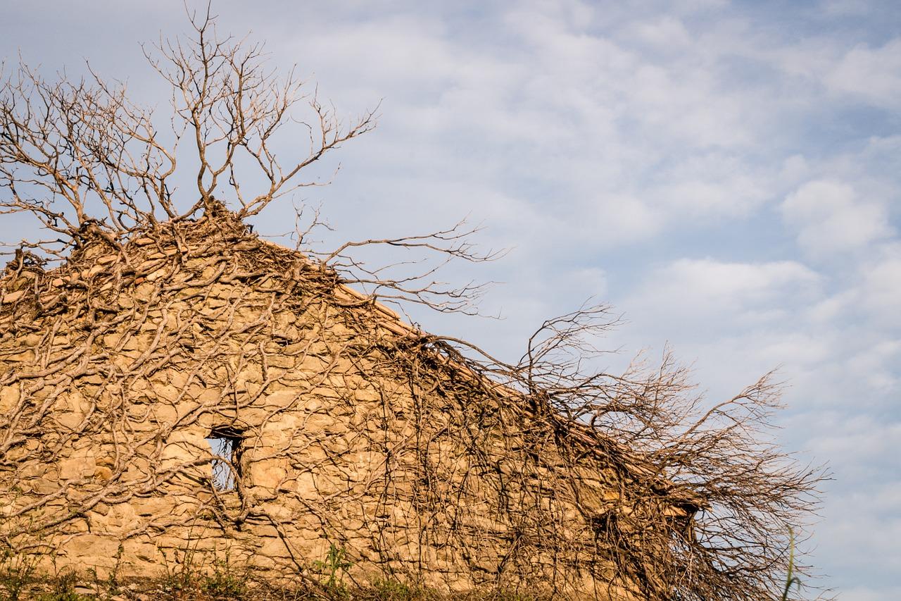 盖好新房运气怎么办