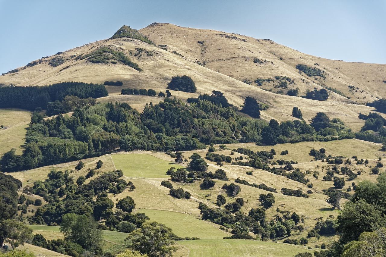 3. 橘郡周边环境