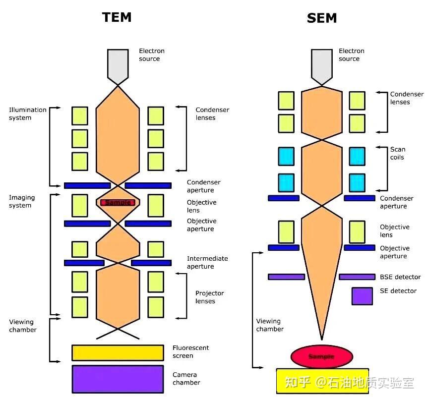 T Loop Sem 别再傻傻分不清!一文搞懂SEM和TEM的本质区别 - 知乎