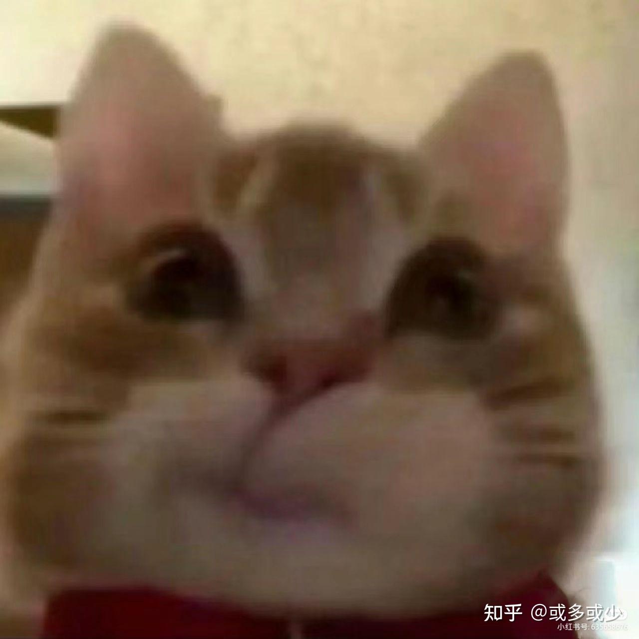 “撇了撇嘴”到底是什么表情？有图吗？ - 知乎
