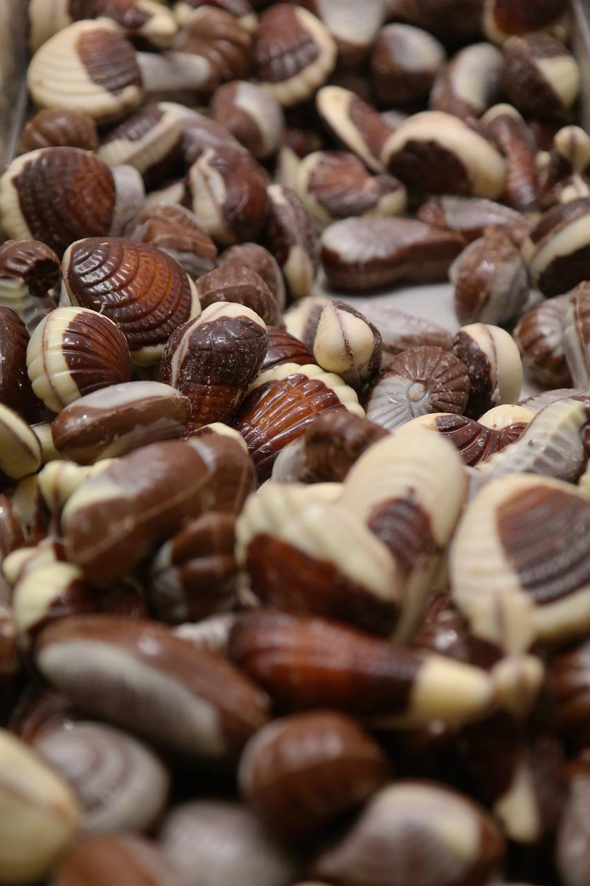 鱼爱吃什么食物