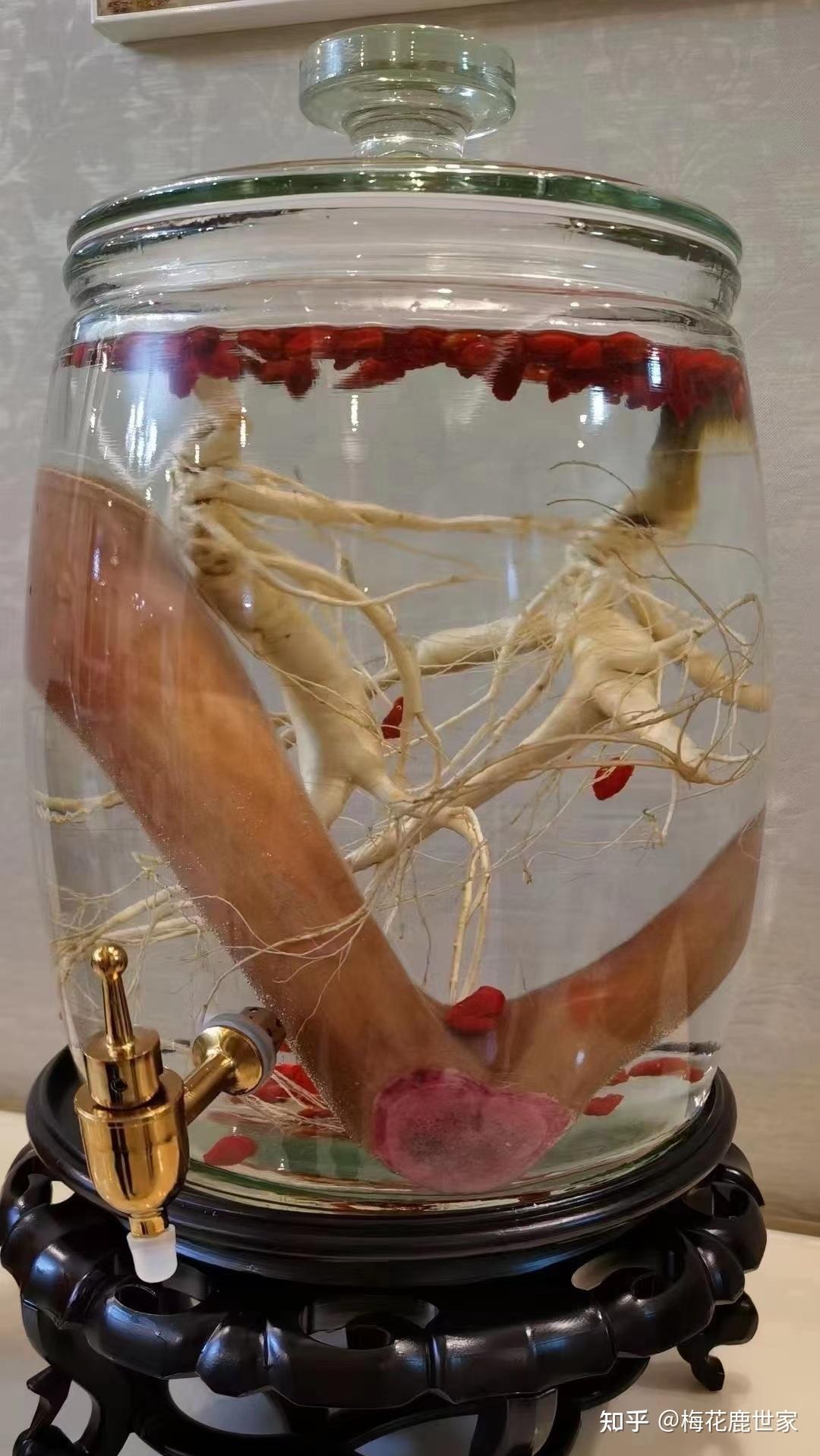 鹿鞭,鹿茸泡酒为什么味道是苦的呢,正常吗? - 知乎