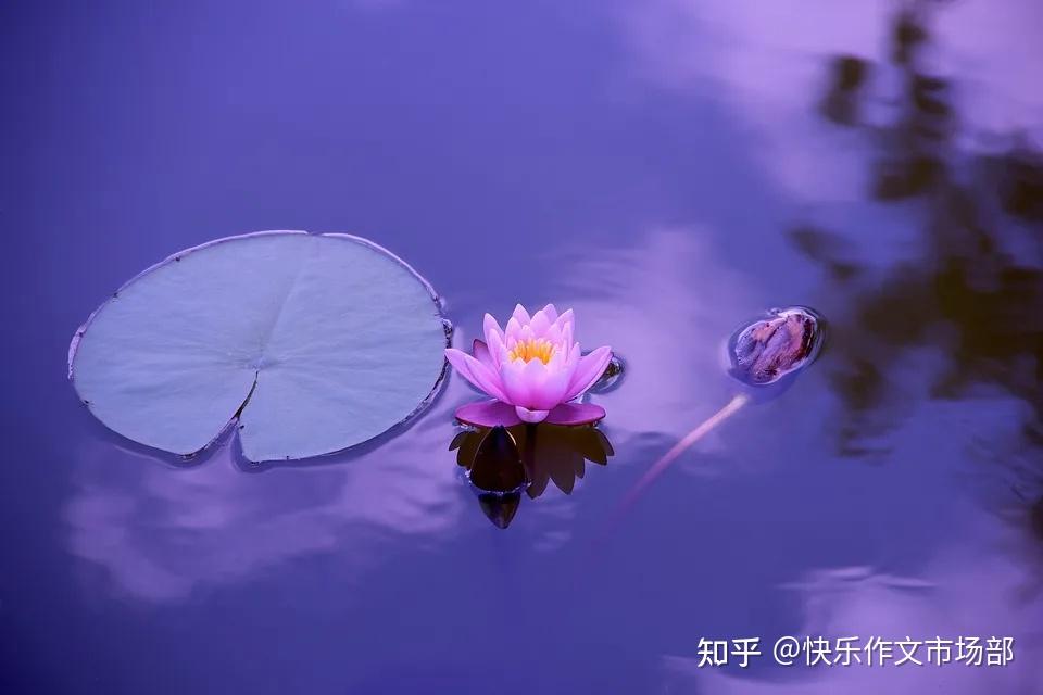 关于人物神态描写的技巧,用在作文上,老师看了都说好! - 知乎