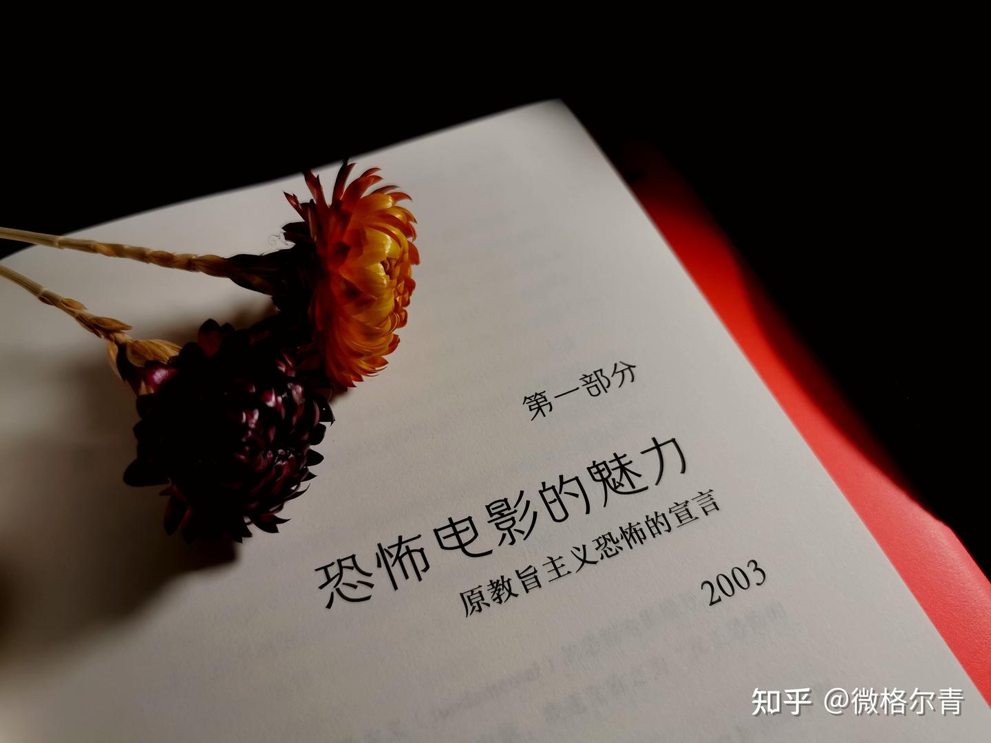 当你看恐怖片时，你在恐惧什么？｜《什么才是真正的恐怖》 - 知乎