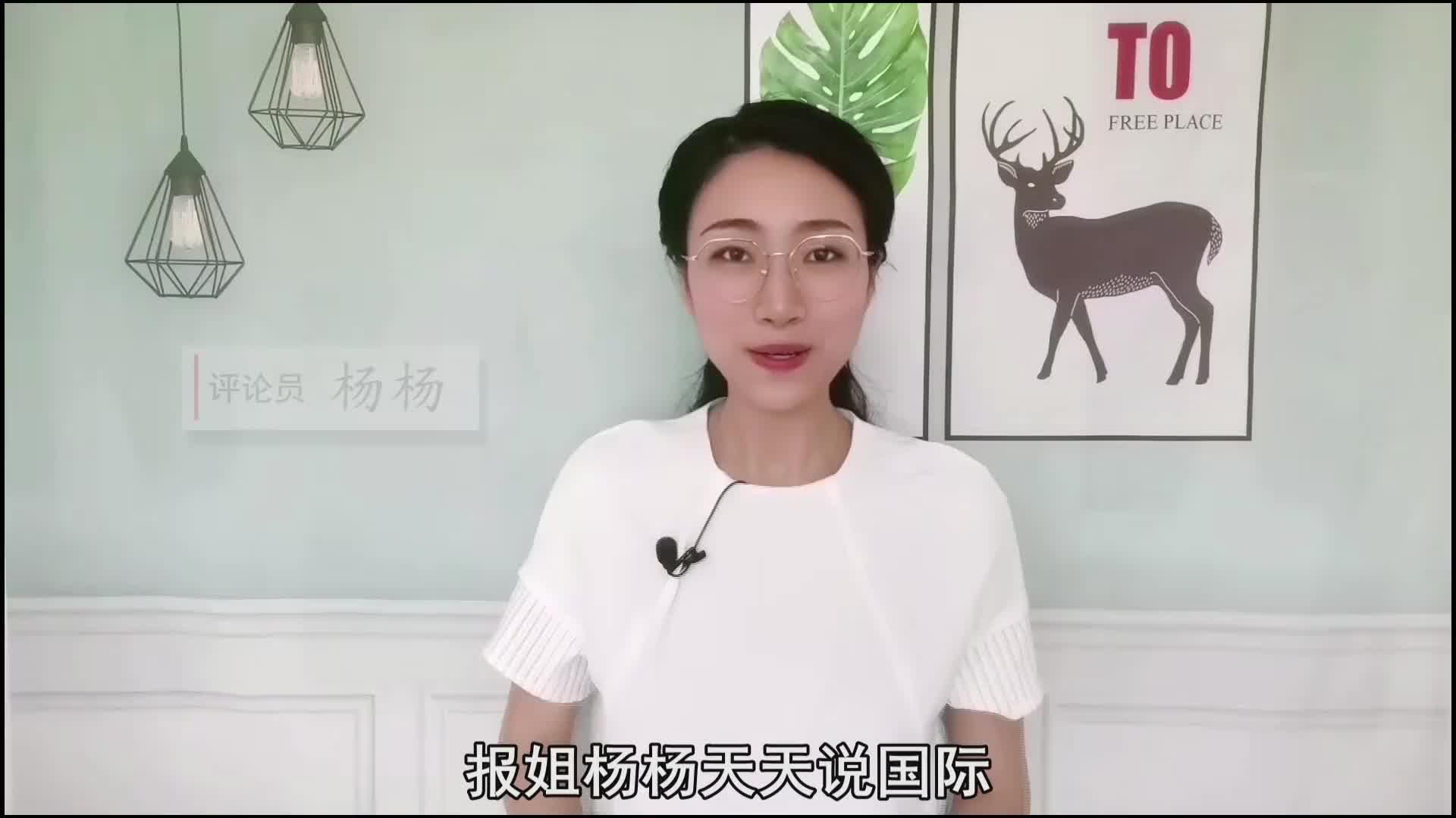 报姐扬扬是哪里人图片