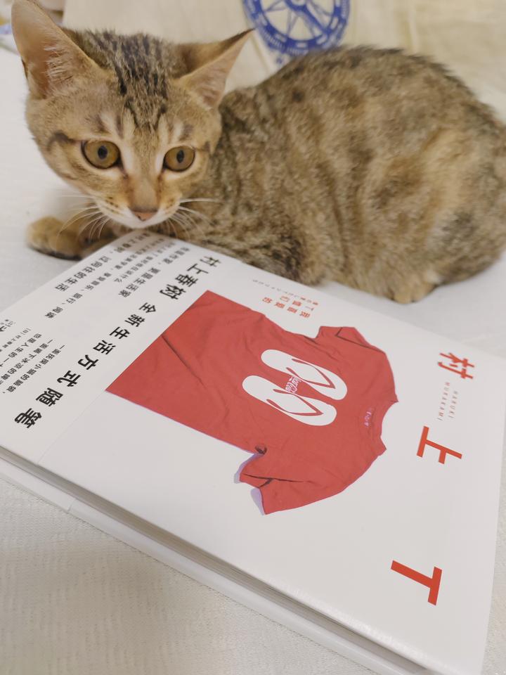 揭开作家不为人知的一面 村上春树VS T恤 - 知乎