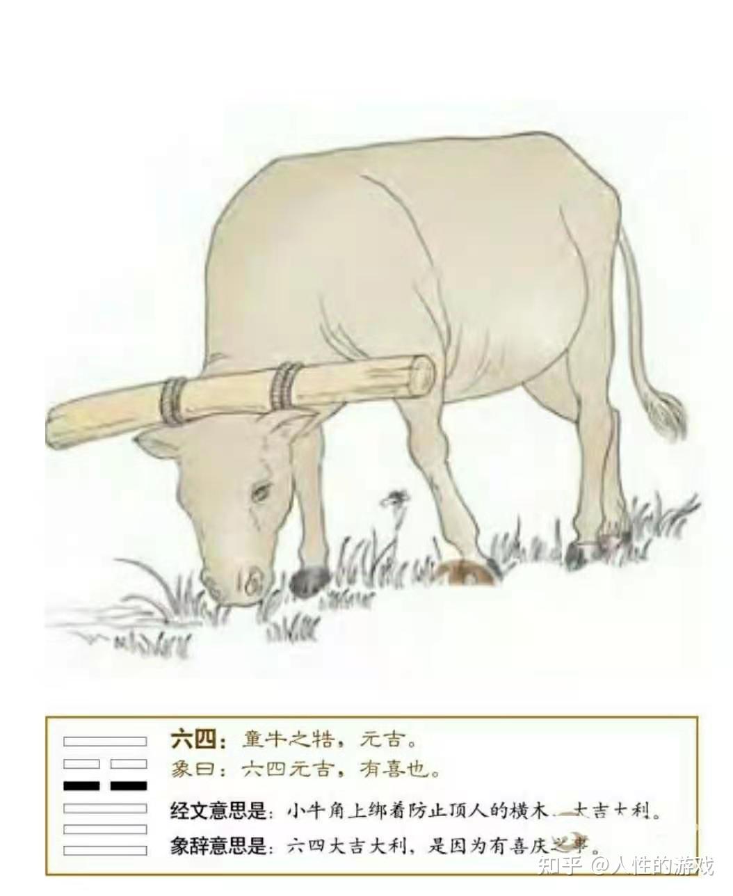 平、衡、平衡，杠杆原理的推导过程- 知乎