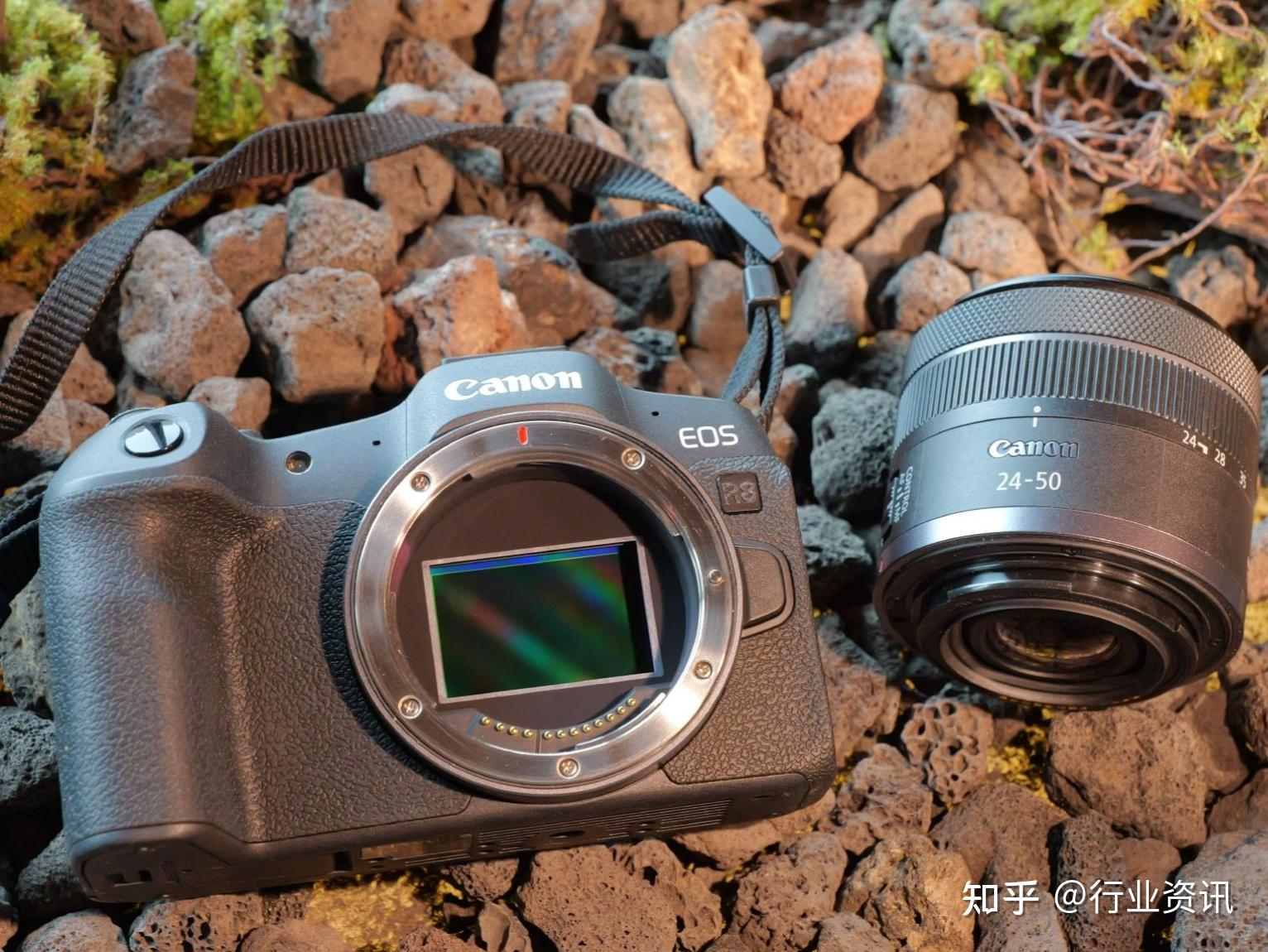 初学摄影选择索尼a6000还是松下